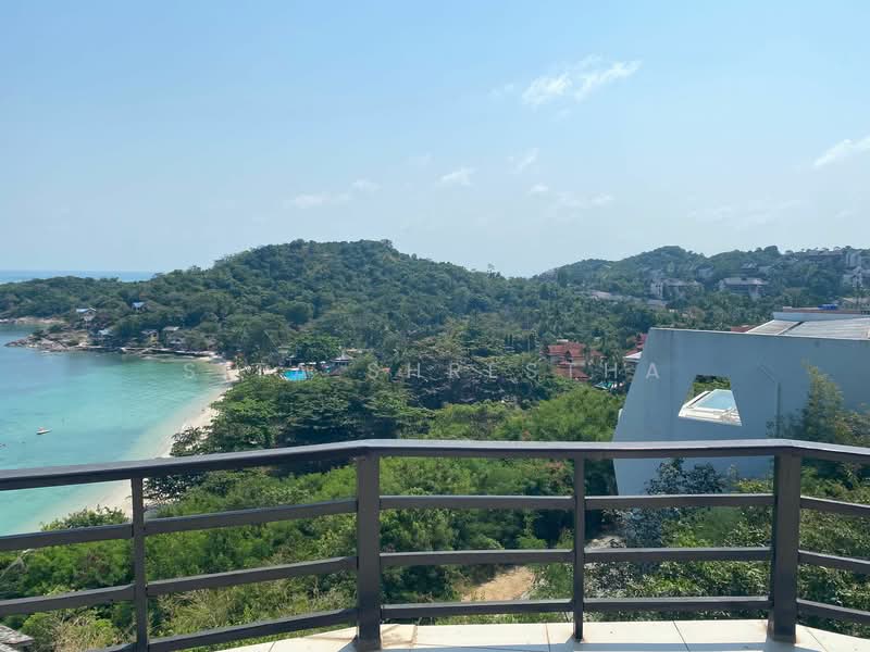 4-BR Villa, Surat Thani, Bo Put, Ko Samui, Surat Thani, 4 Bedrooms, 480 sqm, Villa For Sale, by Sita Shrestha, 500301589 - DDproperty.com