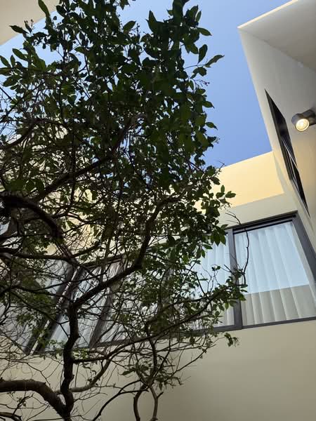 บ้านเดี่ยวใกล้ม.เกษตร, Bangkok, Chorake Bua, Lat Phrao, Bangkok, 3 Bedrooms, 250 sqm, Single Detached House For Sale, by อภิมงคล สุขเกษม, 500301617 - DDproperty.com
