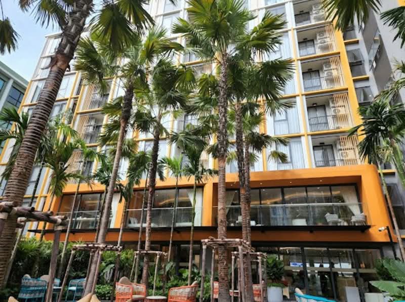 The Base Rise, ภูเก็ต, วิชิต, เมืองภูเก็ต, ภูเก็ต, 31 ตร.ม., คอนโด ให้เช่า, โดย Prime Global Asset (Mew), 500301721 - DDproperty.com