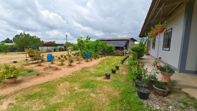 ขาย - บ้าน 2-ห้องนอน, ชลบุรี