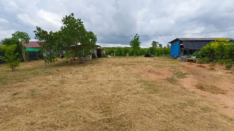 บ้าน 2-ห้องนอน, ชลบุรี, หนองเหียง, พนัสนิคม, ชลบุรี, 66 ตร.ม., บ้านเดี่ยว ขาย, โดย Sita Shrestha, 500301735 - DDproperty.com