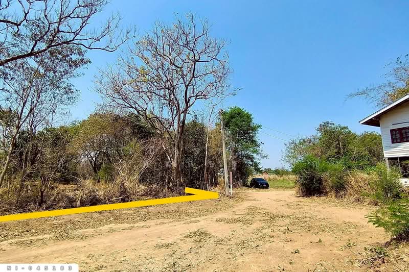 Land for sale in Pak Chong, Phaya Yen, Nakhon Ratchasima. 14 rai 323 sq.wa. NI-045183, Nakhon Ratchasima, Phyayen, Pak Chong, Nakhon Ratchasima, , 23,692 sqm, Land For Sale, by Benchawarin Pakkawetppisit, 500301764 - DDproperty.com