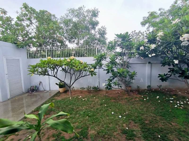 Panalee Banna Village : บ้าน ปณาลี บ้านนา, ชลบุรี, ห้วยใหญ่, บางละมุง, ชลบุรี, 190 ตร.ม., บ้านเดี่ยว ขาย, โดย Sita Shrestha, 500301779 - DDproperty.com