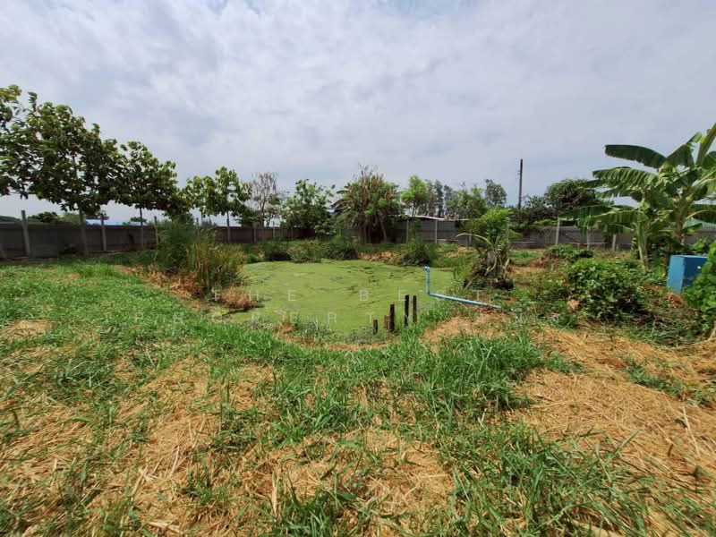 ที่ดินบางเพรียง สมุทรปราการ, สมุทรปราการ, บางเพรียง, บางบ่อ, สมุทรปราการ, 1,600 ตร.ม., ที่ดิน ขาย, โดย The Best Property หนึ่ง, 500301845 - DDproperty.com
