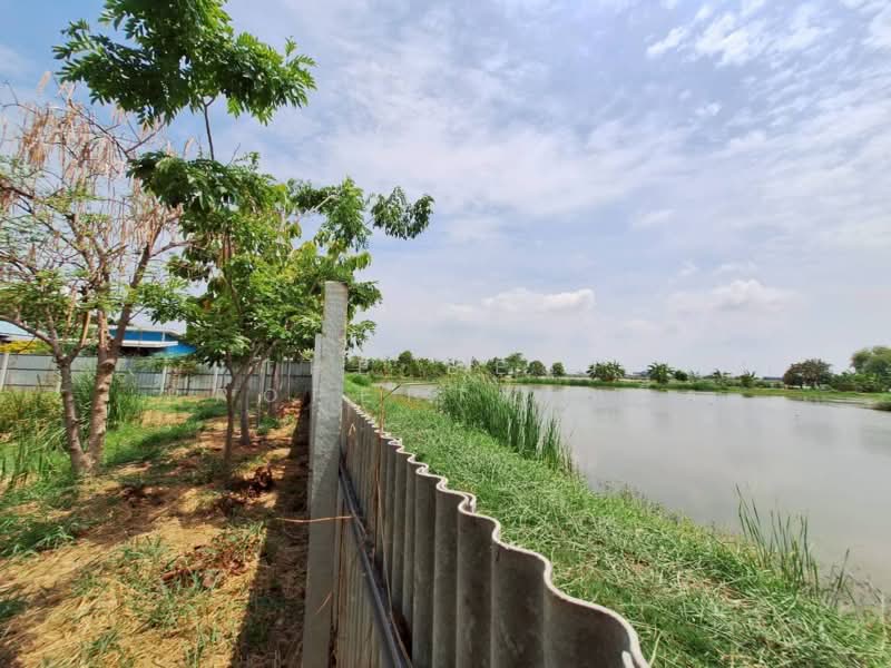 ที่ดินบางเพรียง สมุทรปราการ, สมุทรปราการ, บางเพรียง, บางบ่อ, สมุทรปราการ, 1,600 ตร.ม., ที่ดิน ขาย, โดย The Best Property หนึ่ง, 500301845 - DDproperty.com