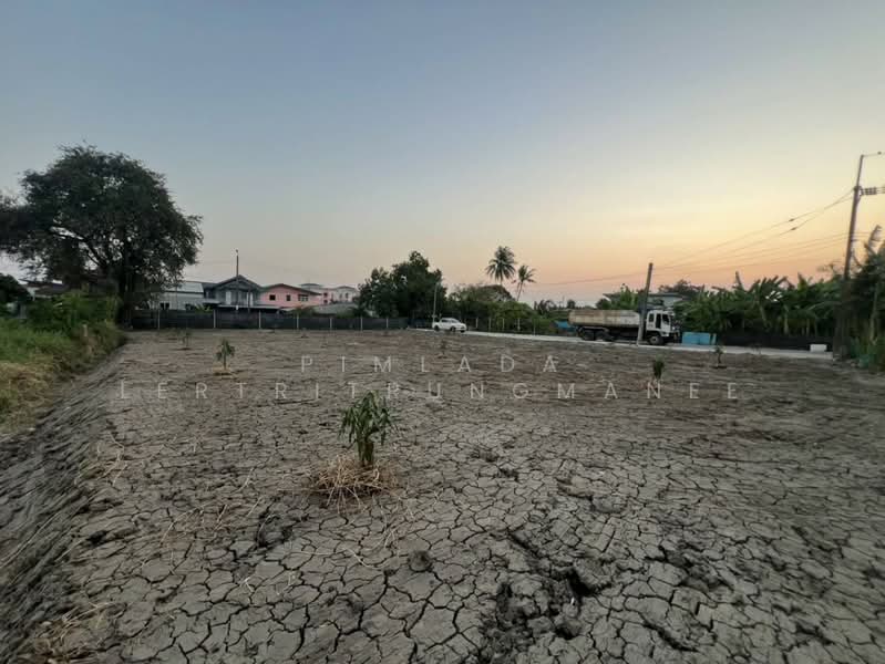 ซอย เพชรเกษม 77 แยก 4-5, Bangkok, Nong Kang Plu, Nong Khaem, Bangkok, , 1,300 sqm, Land For Sale, by Pimlada Lertritrungmanee, 500301846 - DDproperty.com