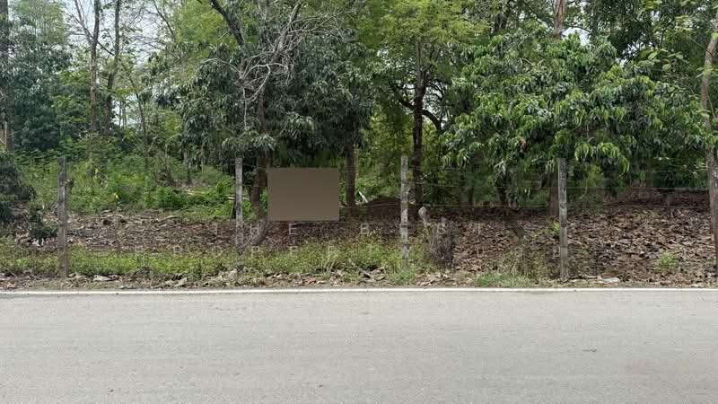 ที่ดินดอยสะเก็ด เชียงใหม่, Chiang Mai, Sa Nga Ban, Doi Saket, Chiang Mai, , 6,620 sqm, Land For Sale, by The Best Property บอย, 500301867 - DDproperty.com
