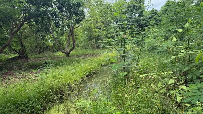ที่ดินดอยสะเก็ด เชียงใหม่, Chiang Mai, Sa Nga Ban, Doi Saket, Chiang Mai, , 6,620 sqm, Land For Sale, by The Best Property บอย, 500301867 - DDproperty.com