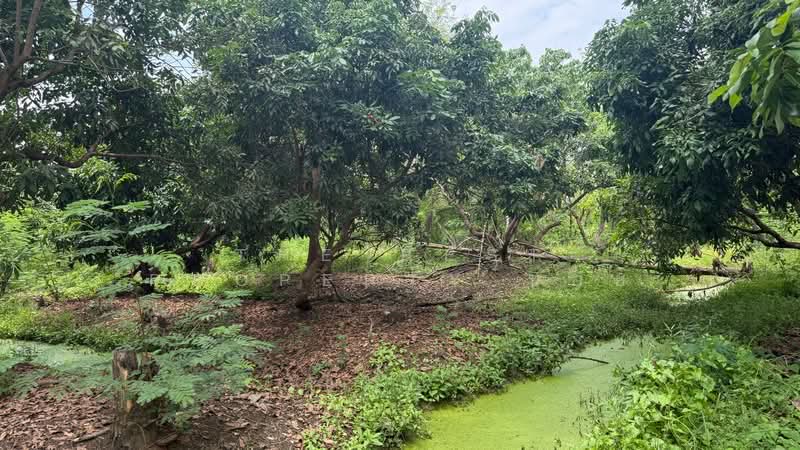 ที่ดินดอยสะเก็ด เชียงใหม่, เชียงใหม่, สง่าบ้าน, ดอยสะเก็ด, เชียงใหม่, 6,620 ตร.ม., ที่ดิน ขาย, โดย The Best Property บอย, 500301867 - DDproperty.com