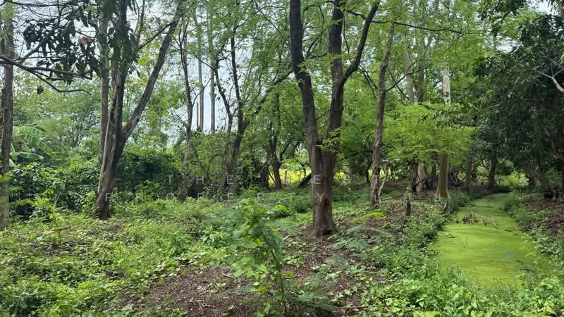 ที่ดินดอยสะเก็ด เชียงใหม่, Chiang Mai, Sa Nga Ban, Doi Saket, Chiang Mai, , 6,620 sqm, Land For Sale, by The Best Property บอย, 500301867 - DDproperty.com