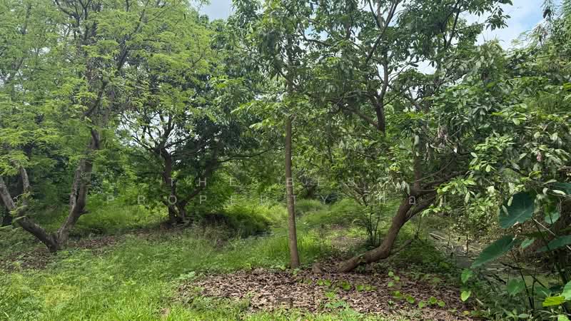 ที่ดินดอยสะเก็ด เชียงใหม่, Chiang Mai, Sa Nga Ban, Doi Saket, Chiang Mai, , 6,620 sqm, Land For Sale, by The Best Property บอย, 500301867 - DDproperty.com