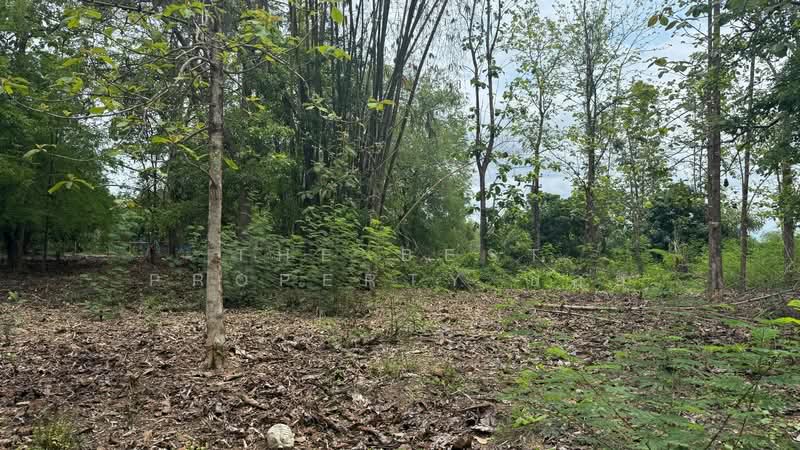 ที่ดินดอยสะเก็ด เชียงใหม่, Chiang Mai, Sa Nga Ban, Doi Saket, Chiang Mai, , 6,620 sqm, Land For Sale, by The Best Property บอย, 500301867 - DDproperty.com