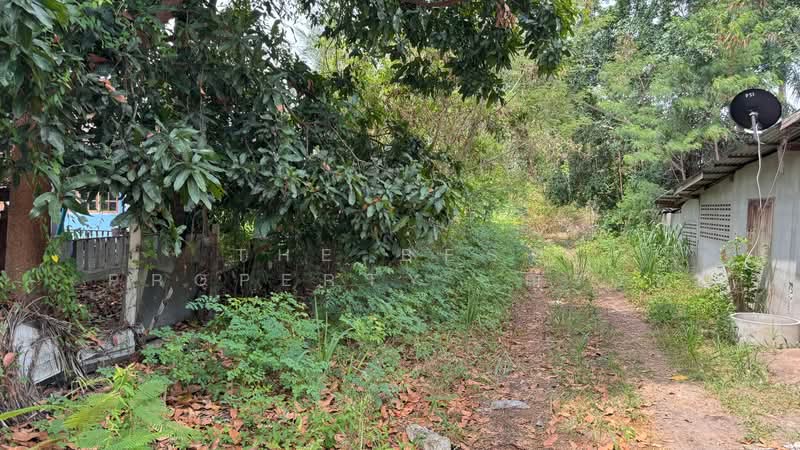 ที่ดินห้วยทราย ประจวบคีรีขันธ์, Prachuap Khiri Khan, Huai Sai, Muang Prachaubkirikhan, Prachuap Khiri Khan, , 7,000 sqm, Land For Sale, by The Best Property  ณรงค์, 500302066 - DDproperty.com