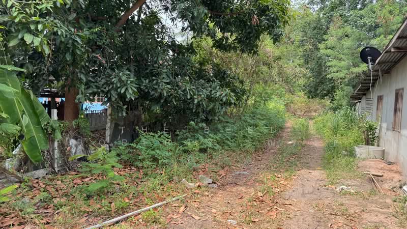 ที่ดินห้วยทราย ประจวบคีรีขันธ์, Prachuap Khiri Khan, Huai Sai, Muang Prachaubkirikhan, Prachuap Khiri Khan, , 7,000 sqm, Land For Sale, by The Best Property  ณรงค์, 500302066 - DDproperty.com