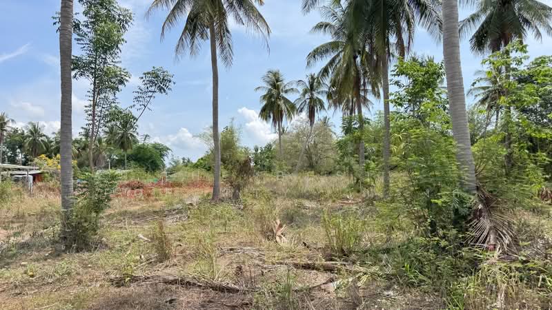 ที่ดินห้วยทราย ประจวบคีรีขันธ์, Prachuap Khiri Khan, Huai Sai, Muang Prachaubkirikhan, Prachuap Khiri Khan, , 7,000 sqm, Land For Sale, by The Best Property  ณรงค์, 500302066 - DDproperty.com