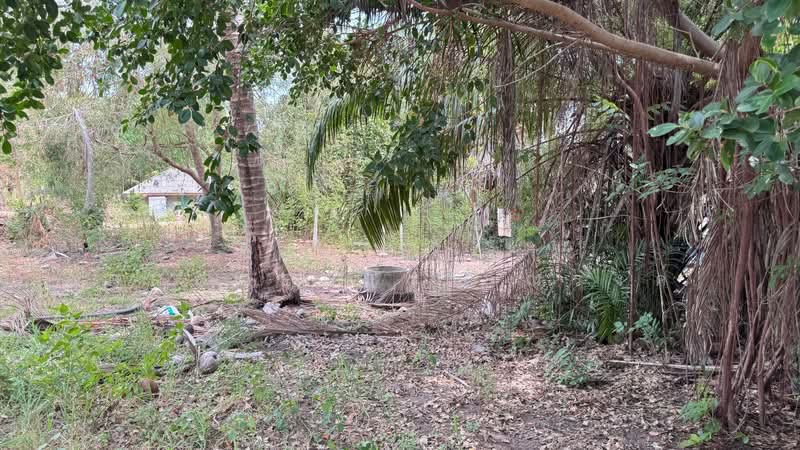 ที่ดินห้วยทราย ประจวบคีรีขันธ์, Prachuap Khiri Khan, Huai Sai, Muang Prachaubkirikhan, Prachuap Khiri Khan, , 7,000 sqm, Land For Sale, by The Best Property  ณรงค์, 500302066 - DDproperty.com