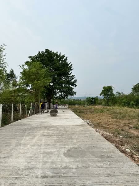 Land Near Jim Thompson Farm Pak Chong 85.5 SQ Wah, Nakhon Ratchasima, Takhop, Pak Thong Chai, Nakhon Ratchasima, , 340 sqm, Land For Sale, by Thanapatana Limsouklam, 500302151 - DDproperty.com