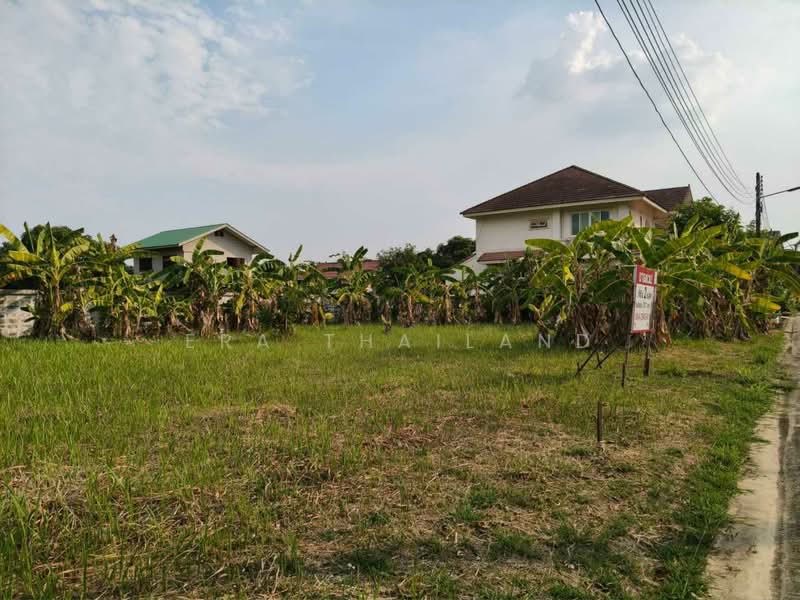 เมืองพิษณุโลก, พิษณุโลก, วัดจันทร์, เมืองพิษณุโลก, พิษณุโลก, 808 ตร.ม., ที่ดิน ขาย, โดย ERA Thailand, 500302235 - DDproperty.com