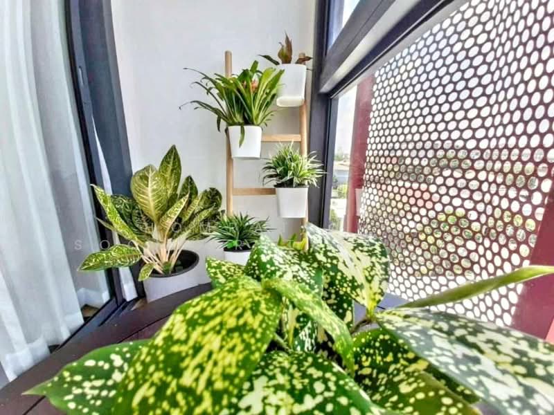 Taka Haus, Bangkok, 99 Soi Ekamai 10, Khlong Tan Nua, Watthana, Bangkok, 1 Bedroom, 45 sqm, Condo For Sale, by Chomratkamol Soontorntarawong (Gor), 500302311 - DDproperty.com