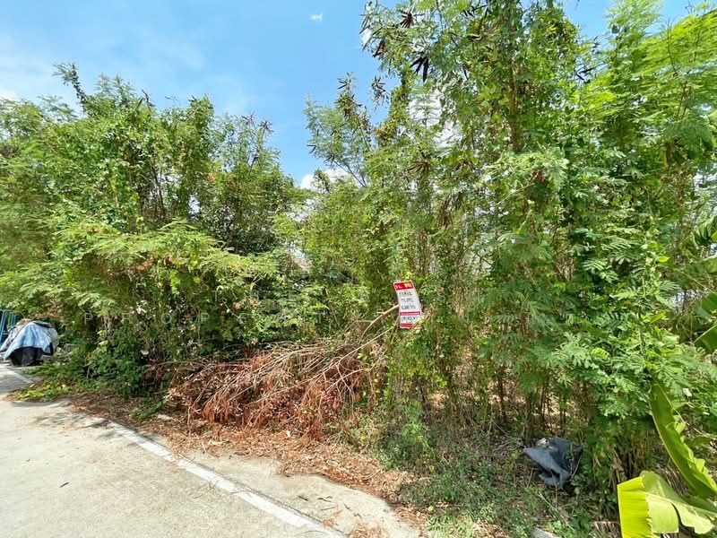 ที่ดินบางกรวย นนทบุรี, Nonthaburi, Sala Klang, Bang Kruai, Nonthaburi, , 300 sqm, Land For Sale, by The Best Property กุ้งแก้ว, 500302334 - DDproperty.com