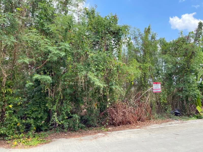 ที่ดินบางกรวย นนทบุรี, Nonthaburi, Sala Klang, Bang Kruai, Nonthaburi, , 300 sqm, Land For Sale, by The Best Property กุ้งแก้ว, 500302334 - DDproperty.com