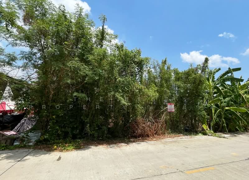 ที่ดินบางกรวย นนทบุรี, นนทบุรี, ศาลากลาง, บางกรวย, นนทบุรี, 300 ตร.ม., ที่ดิน ขาย, โดย The Best Property กุ้งแก้ว, 500302334 - DDproperty.com