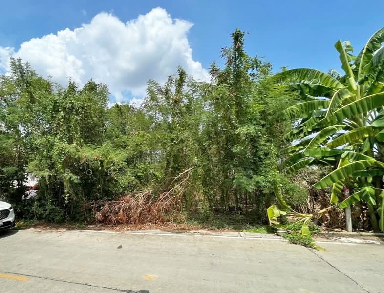 ที่ดินบางกรวย นนทบุรี, Nonthaburi, Sala Klang, Bang Kruai, Nonthaburi, , 300 sqm, Land For Sale, by The Best Property กุ้งแก้ว, 500302334 - DDproperty.com