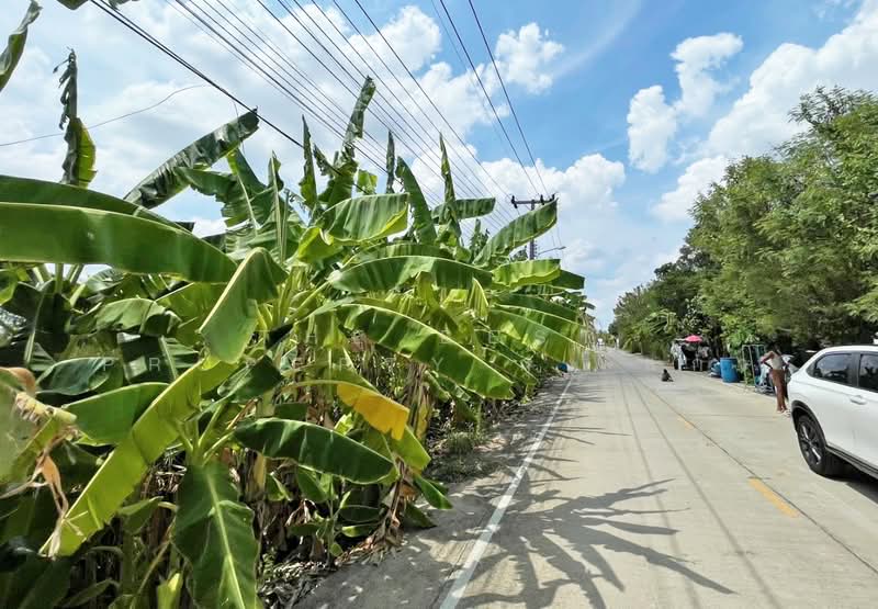 ที่ดินบางกรวย นนทบุรี, Nonthaburi, Sala Klang, Bang Kruai, Nonthaburi, , 300 sqm, Land For Sale, by The Best Property กุ้งแก้ว, 500302334 - DDproperty.com