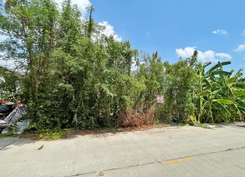 ที่ดินบางกรวย นนทบุรี, Nonthaburi, Sala Klang, Bang Kruai, Nonthaburi, , 300 sqm, Land For Sale, by The Best Property กุ้งแก้ว, 500302334 - DDproperty.com