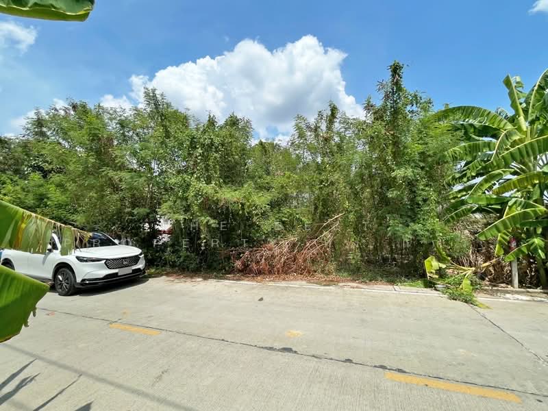 ที่ดินบางกรวย นนทบุรี, นนทบุรี, ศาลากลาง, บางกรวย, นนทบุรี, 300 ตร.ม., ที่ดิน ขาย, โดย The Best Property กุ้งแก้ว, 500302334 - DDproperty.com