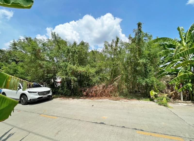 ที่ดินบางกรวย นนทบุรี, นนทบุรี, ศาลากลาง, บางกรวย, นนทบุรี, 300 ตร.ม., ที่ดิน ขาย, โดย The Best Property กุ้งแก้ว, 500302334 - DDproperty.com