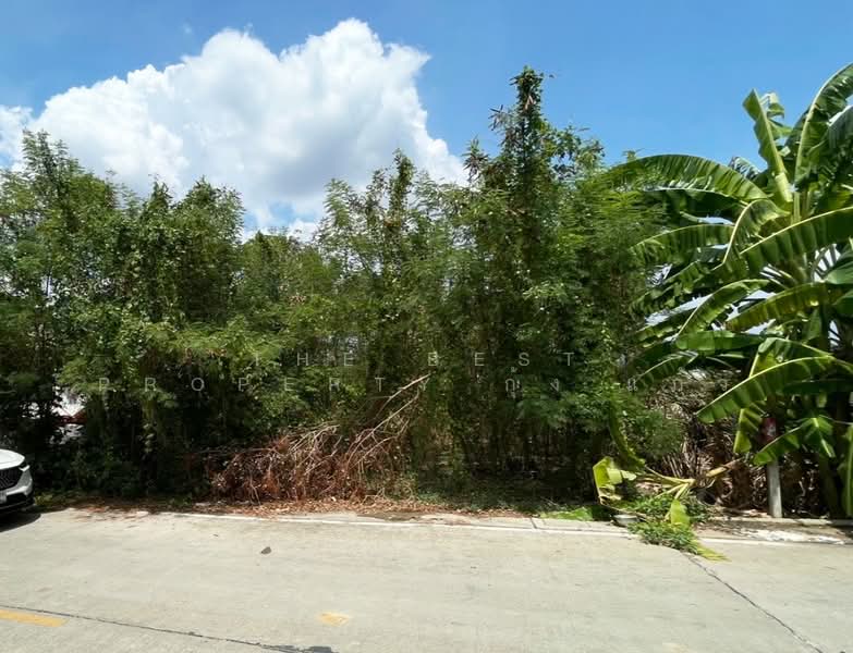 ที่ดินบางกรวย นนทบุรี, นนทบุรี, ศาลากลาง, บางกรวย, นนทบุรี, 300 ตร.ม., ที่ดิน ขาย, โดย The Best Property กุ้งแก้ว, 500302334 - DDproperty.com