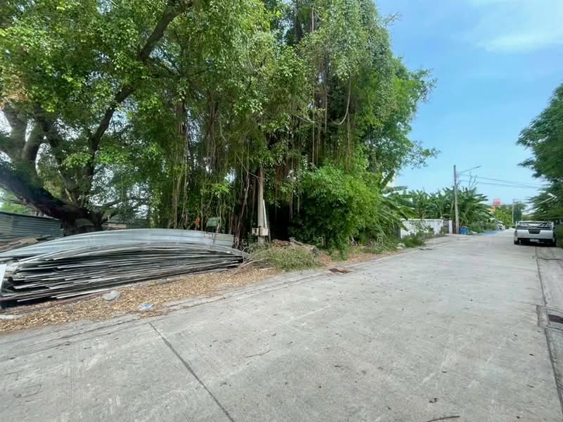 ที่ดินเปล่า 75 ตร.ว. ที่ดินเปล่า ใกล้สถานีตำรวจนครบาลอุดมสุข ซอยรามคำแหง2, กรุงเทพ, ถนนรามคำแหง, ดอกไม้, ประเวศ, กรุงเทพ, 300 ตร.ม., ที่ดิน ขาย, โดย คุณ จีรฐิต ฐานดี (ดี), 500302346 - DDproperty.com
