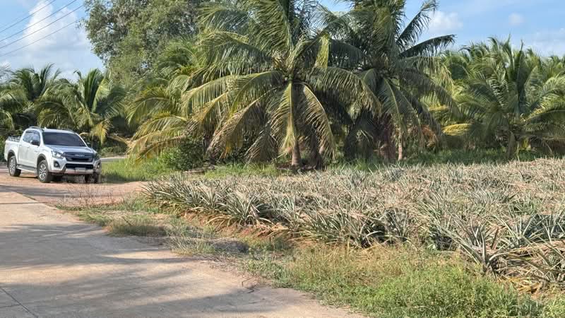 ที่ดินอ่าวน้อย ประจวบคีรีขันธ์, Prachuap Khiri Khan, Ao Noi, Muang Prachaubkirikhan, Prachuap Khiri Khan, , 27,532 sqm, Land For Sale, by The Best Property   ณรงค์, 500302348 - DDproperty.com