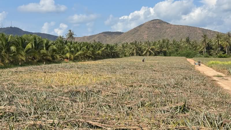 ที่ดินอ่าวน้อย ประจวบคีรีขันธ์, Prachuap Khiri Khan, Ao Noi, Muang Prachaubkirikhan, Prachuap Khiri Khan, , 27,532 sqm, Land For Sale, by The Best Property   ณรงค์, 500302348 - DDproperty.com