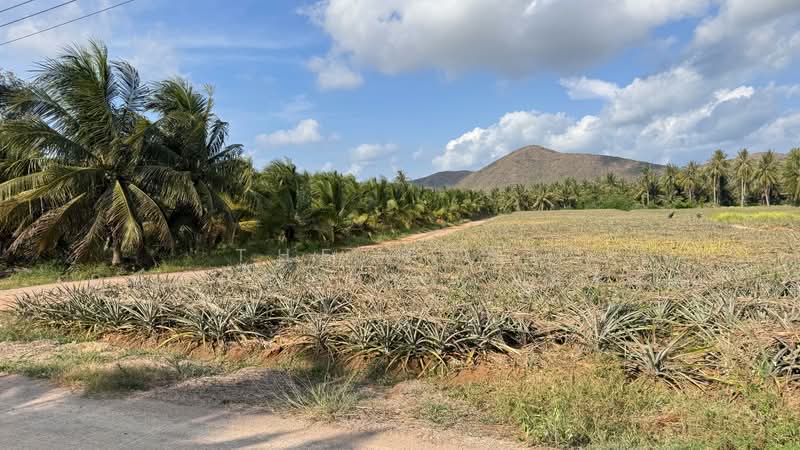 ที่ดินอ่าวน้อย ประจวบคีรีขันธ์, Prachuap Khiri Khan, Ao Noi, Muang Prachaubkirikhan, Prachuap Khiri Khan, , 27,532 sqm, Land For Sale, by The Best Property   ณรงค์, 500302348 - DDproperty.com