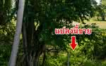 ประจวบคีรีขันธ์, ประจวบคีรีขันธ์