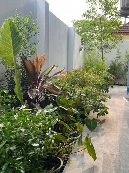 Baan Wang Tan : บ้าน วัง ตาล, เชียงใหม่, แม่เหียะ, เมืองเชียงใหม่, เชียงใหม่, 320 ตร.ม., บ้านเดี่ยว ให้เช่า, โดย Best Choice Property, 500302977 - DDproperty.com