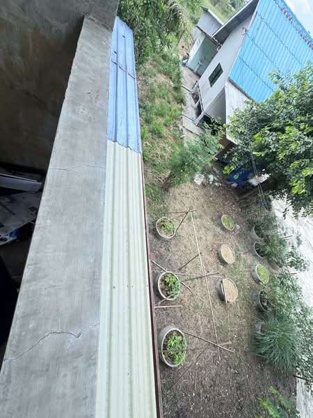 ขาย - ที่ดินพร้อมสิ่งปลูกสร้าง 100 ตรว. บ้านเลขที่ 29 ถนน สุขประยูร พนัสนิคม ชลบุรี, ชลบุรี