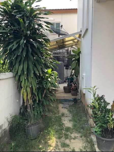 Chuanchuen Petchkasem 81, Bangkok, Petchkasem 81, Nong Kham, Nong Khaem, Bangkok, 3 Bedrooms, 190 sqm, Single Detached House For Sale, by Connex Property, 500303133 - DDproperty.com