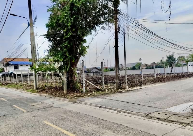 ขายที่ดิน 364 ตรว ซอยนนทบุรี39 สนามบินน้ำ หลังกองสลาก นนทบุรี, Nonthaburi, Bang Kra So, Muang Nonthaburi, Nonthaburi, , 1,456 sqm, Land For Sale, by Jirapan Siripraiwan, 500303137 - DDproperty.com