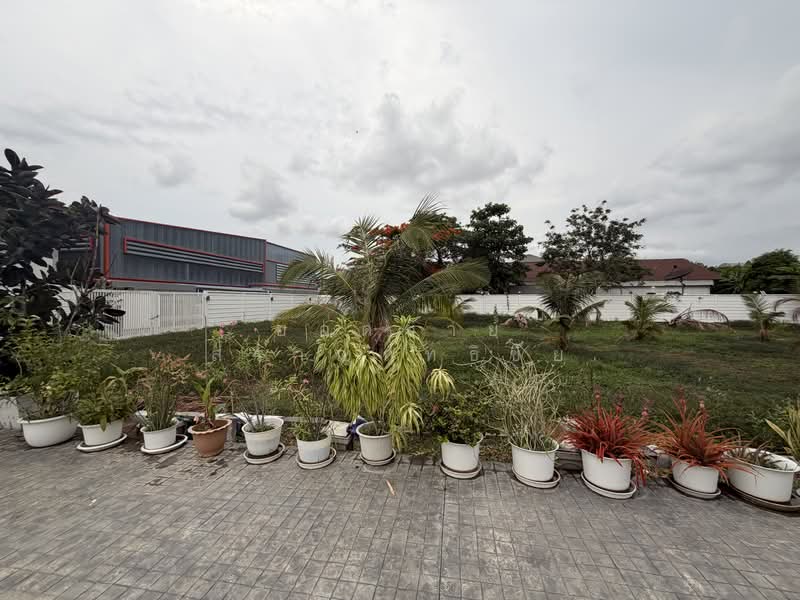 บ้านเดี่ยว 300 ตร.ว.ซอยสะแกงาม 14 แยก 25 แต่งสวย 32.9 ล้านบาท, กรุงเทพ, ชุมชนดอกรัก ซอยสะแกงาม 14 แยก 25, แสมดำ, บางขุนเทียน, กรุงเทพ, 477 ตร.ม., บ้านเดี่ยว ขาย, โดย ยอดชาย สราญฤทธิชัย, 500303154 - DDproperty.com