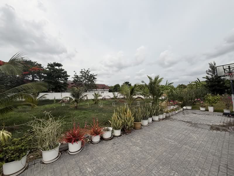 บ้านเดี่ยว 300 ตร.ว.ซอยสะแกงาม 14 แยก 25 แต่งสวย 32.9 ล้านบาท, กรุงเทพ, ชุมชนดอกรัก ซอยสะแกงาม 14 แยก 25, แสมดำ, บางขุนเทียน, กรุงเทพ, 477 ตร.ม., บ้านเดี่ยว ขาย, โดย ยอดชาย สราญฤทธิชัย, 500303154 - DDproperty.com