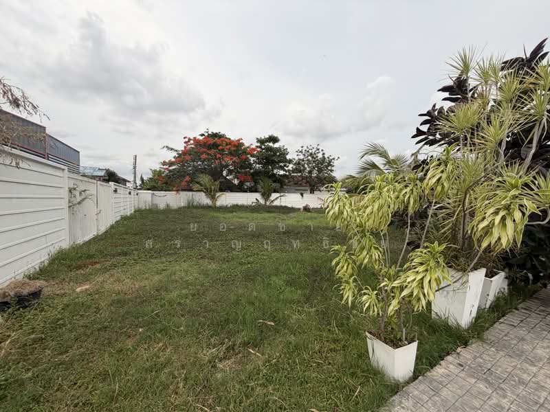 บ้านเดี่ยว 300 ตร.ว.ซอยสะแกงาม 14 แยก 25 แต่งสวย 32.9 ล้านบาท, Bangkok, ชุมชนดอกรัก ซอยสะแกงาม 14 แยก 25, Samae Dam, Bang Khun Thian, Bangkok, 5 Bedrooms, 477 sqm, Single Detached House For Sale, by ยอดชาย สราญฤทธิชัย, 500303154 - DDproperty.com