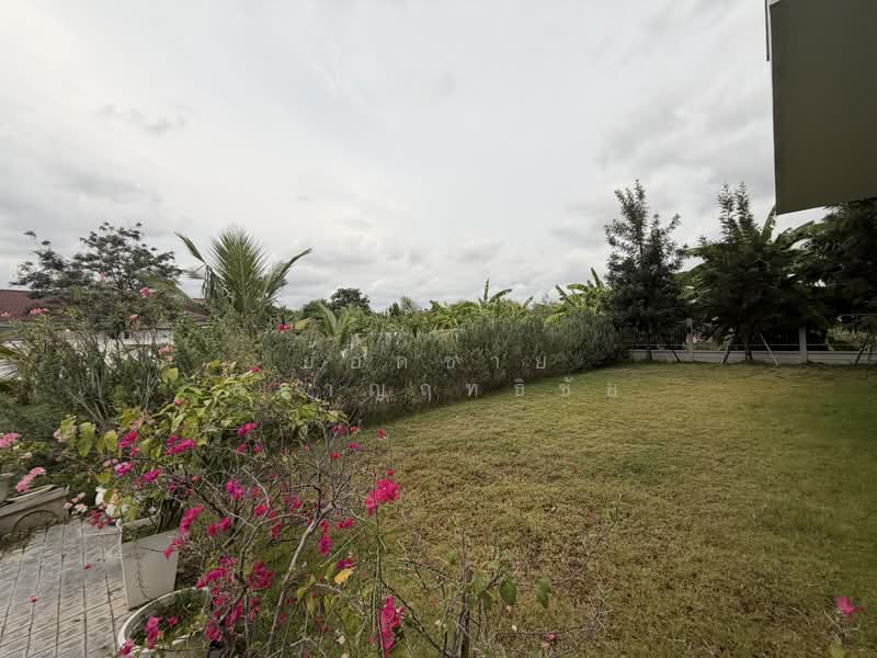 บ้านเดี่ยว 300 ตร.ว.ซอยสะแกงาม 14 แยก 25 แต่งสวย 32.9 ล้านบาท, กรุงเทพ, ชุมชนดอกรัก ซอยสะแกงาม 14 แยก 25, แสมดำ, บางขุนเทียน, กรุงเทพ, 477 ตร.ม., บ้านเดี่ยว ขาย, โดย ยอดชาย สราญฤทธิชัย, 500303154 - DDproperty.com