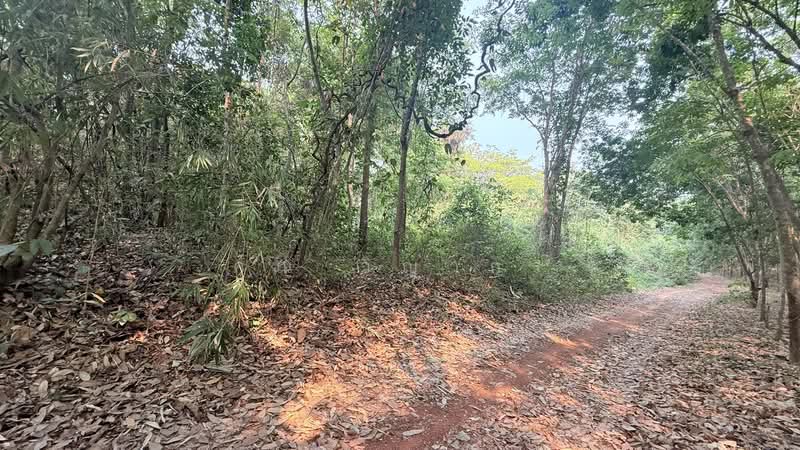 ขายที่ดิน ทำเลทอง อำเภอสังคม จังหวัดหนองคาย, หนองคาย, สังคม, สังคม, หนองคาย, 30,896 ตร.ม., ที่ดิน ขาย, โดย คุณ วิญากร, 500303496 - DDproperty.com