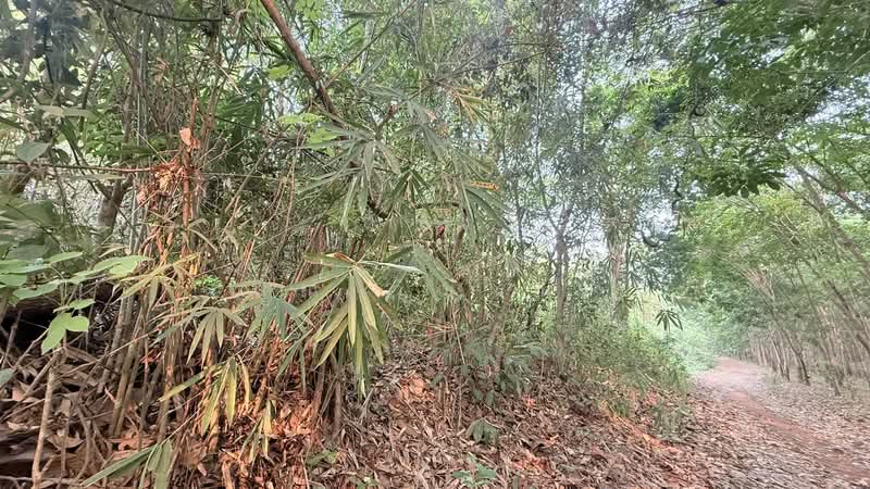 ขายที่ดิน ทำเลทอง อำเภอสังคม จังหวัดหนองคาย, Nong Khai, Sangkhom, Sangkhom, Nong Khai, , 30,896 sqm, Land For Sale, by คุณ วิญากร, 500303496 - DDproperty.com