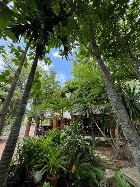 Baan Wang Tan, Chiang Mai, Mae Hia, Muang Chiang Mai, Chiang Mai, 4 Bedrooms, 348 sqm, Single Detached House For Sale, by Shori Asset Group Co., Ltd., 500303528 - DDproperty.com