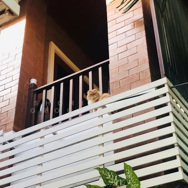 Baan Wang Tan, Chiang Mai, Mae Hia, Muang Chiang Mai, Chiang Mai, 4 Bedrooms, 348 sqm, Single Detached House For Sale, by Shori Asset Group Co., Ltd., 500303528 - DDproperty.com