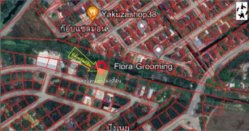 ขายถูกกว่าราคาประเมิน! ที่ดินสวย 125.7 ตร.ว. หมู่บ้านฟลอราวิลล์ พาร์ค ซิตี้, Bangkok, Lam Phak Chi, Nong Chok, Bangkok, , 500 sqm, Land For Sale, by เรียลตี้ วัน, 500303531 - DDproperty.com